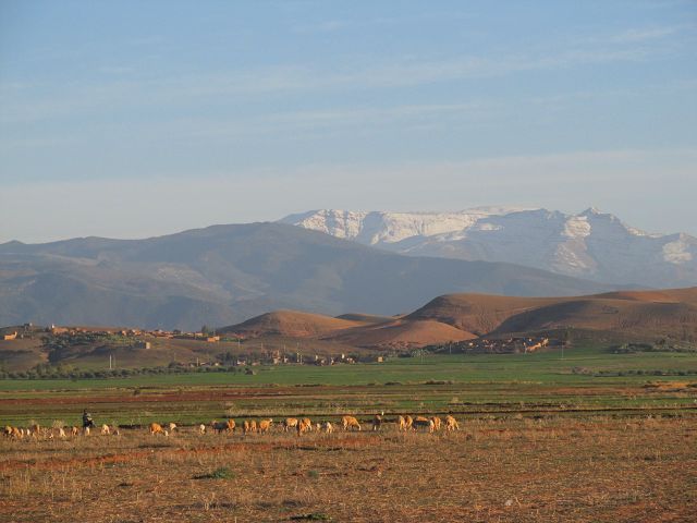 15 Berger et ses moutons au pied des montagnes enneigees de l Atlas.jpg